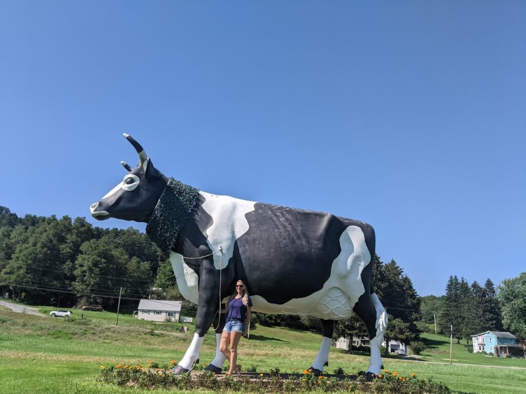 Big Cow in Sligo on a sunny day