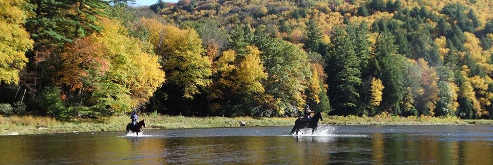Horseback riding across the Clarion River in Cook Forest State Park on a fall day