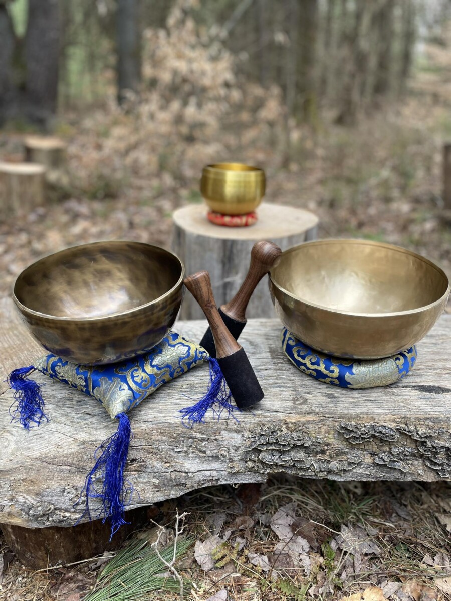 sound bowls with the forest in the foreground
