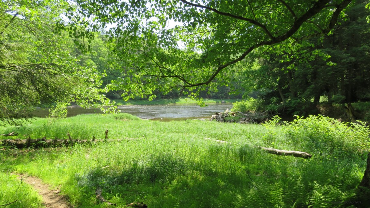 A sunny day with Slaters Crossing in the background of Cook Forest State Park