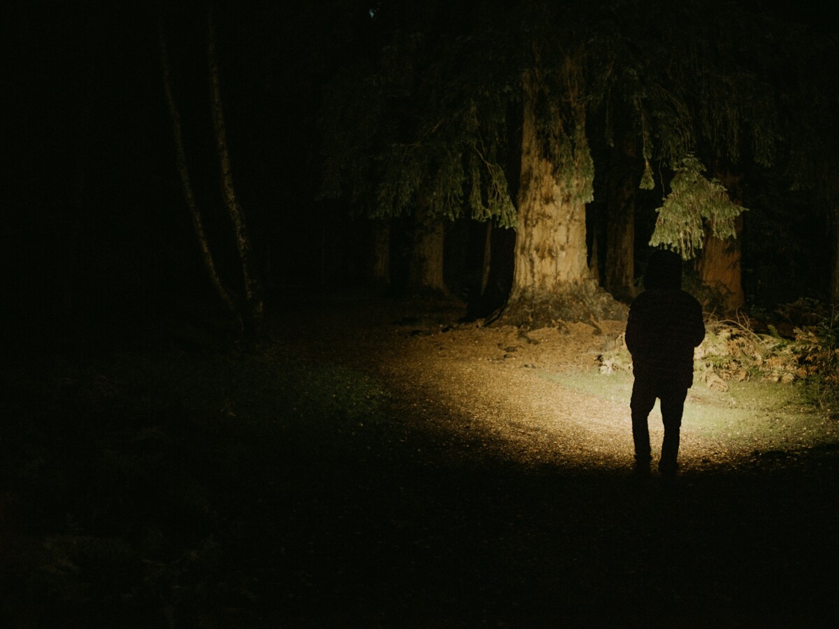 Nighttime hike in Cook Forest State Park