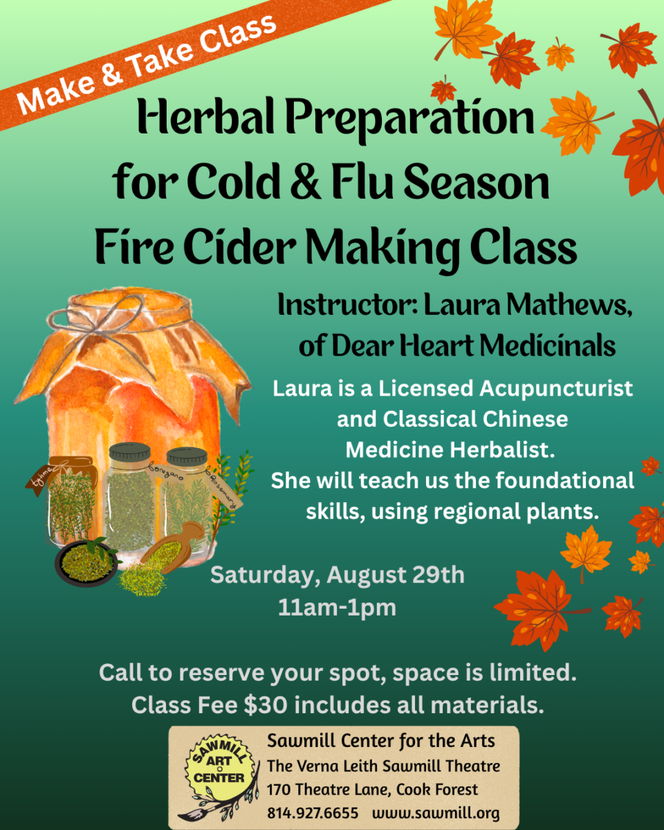 Poster for class at the Sawmill Center for the Arts in Cooksburg, PA