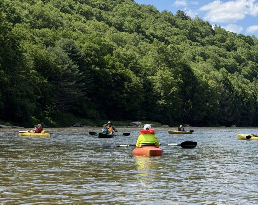 A group of kayakers on the Clarion River